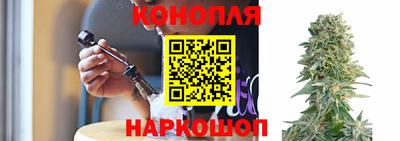 СК Будённовск