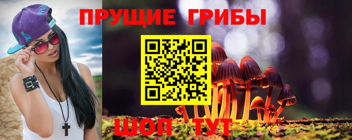 Крымск  Псилоцибиновые грибы MAGIC MUSHROOMS  Галлюциногенные грибы ЛСД  Вход с VPN 
