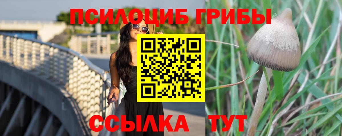 Псилоцибиновые грибы Psilocybine cubensis Крымск